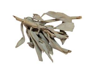 White Sage